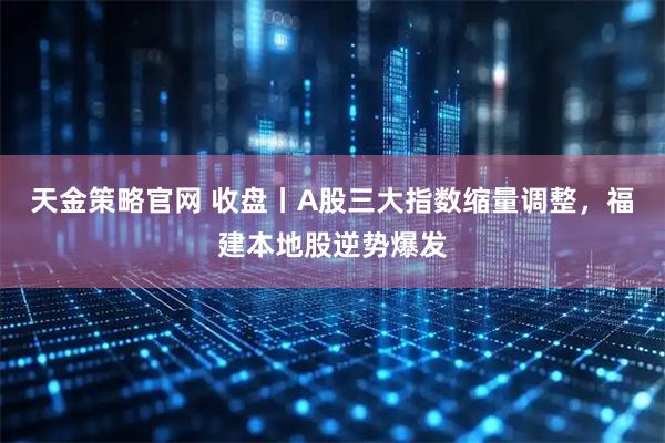 天金策略官网 收盘丨A股三大指数缩量调整,福建本地股逆势爆发