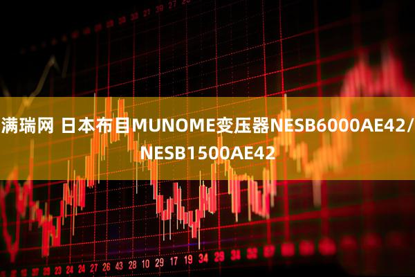 满瑞网 日本布目MUNOME变压器NESB6000AE42/NESB1500AE42