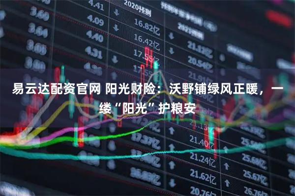 易云达配资官网 阳光财险：沃野铺绿风正暖，一缕“阳光”护粮安