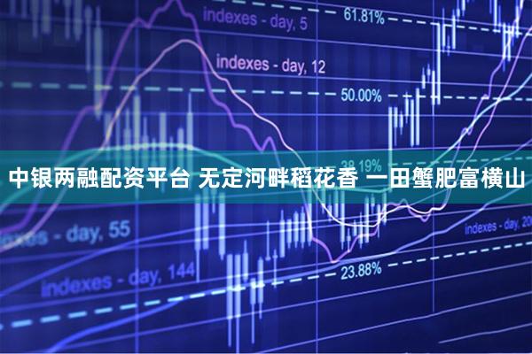 中银两融配资平台 无定河畔稻花香 一田蟹肥富横山